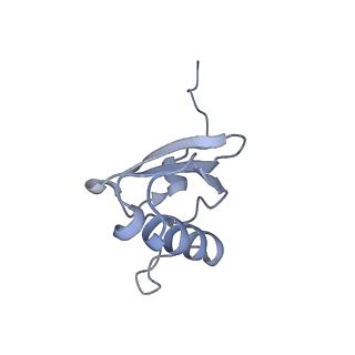 12936_7oiz_S_v1-1
Cryo-EM structure of 70S ribosome stalled with TnaC peptide