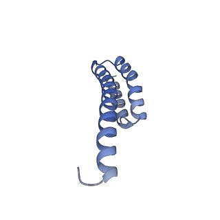 12936_7oiz_T_v1-1
Cryo-EM structure of 70S ribosome stalled with TnaC peptide