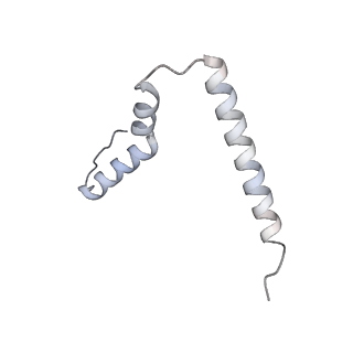 12936_7oiz_U_v1-1
Cryo-EM structure of 70S ribosome stalled with TnaC peptide