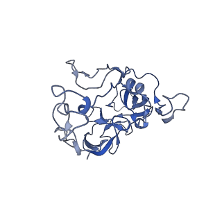 12936_7oiz_c_v1-1
Cryo-EM structure of 70S ribosome stalled with TnaC peptide