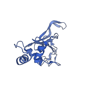 12936_7oiz_f_v1-1
Cryo-EM structure of 70S ribosome stalled with TnaC peptide