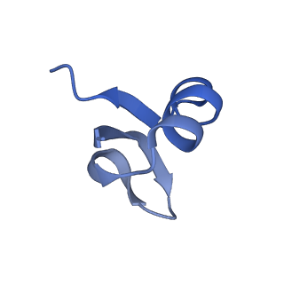 12936_7oiz_h_v1-1
Cryo-EM structure of 70S ribosome stalled with TnaC peptide