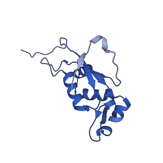 12936_7oiz_i_v1-1
Cryo-EM structure of 70S ribosome stalled with TnaC peptide