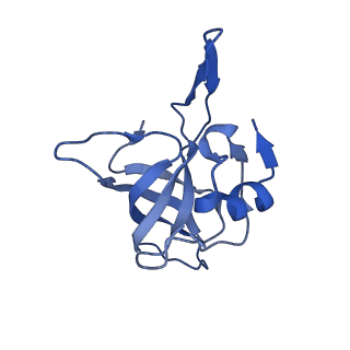 12936_7oiz_j_v1-1
Cryo-EM structure of 70S ribosome stalled with TnaC peptide