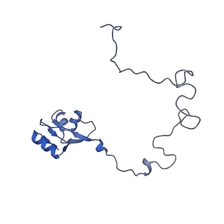 12936_7oiz_k_v1-1
Cryo-EM structure of 70S ribosome stalled with TnaC peptide