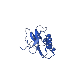 12936_7oiz_l_v1-1
Cryo-EM structure of 70S ribosome stalled with TnaC peptide