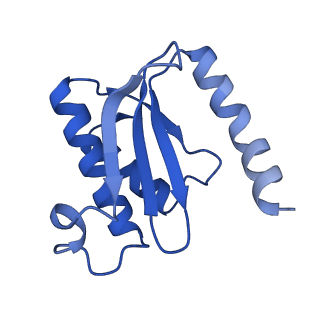 12936_7oiz_n_v1-1
Cryo-EM structure of 70S ribosome stalled with TnaC peptide