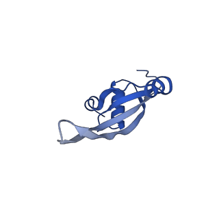 12936_7oiz_s_v1-1
Cryo-EM structure of 70S ribosome stalled with TnaC peptide