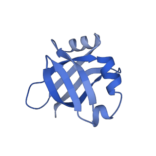 12936_7oiz_u_v1-1
Cryo-EM structure of 70S ribosome stalled with TnaC peptide