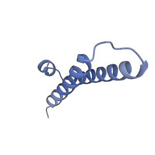 12936_7oiz_x_v1-1
Cryo-EM structure of 70S ribosome stalled with TnaC peptide