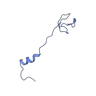 12936_7oiz_z_v1-1
Cryo-EM structure of 70S ribosome stalled with TnaC peptide