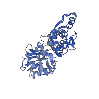 16887_8oi6_D_v1-5
Cryo-EM structure of the undecorated barbed end of filamentous beta/gamma actin