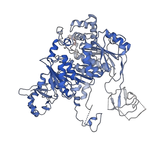 16891_8oif_A_v1-0
Structure of the UBE1L activating enzyme bound to ISG15 and UBE2L6