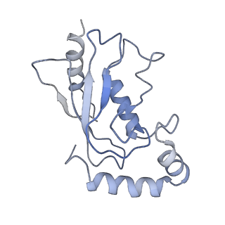 16891_8oif_L_v1-0
Structure of the UBE1L activating enzyme bound to ISG15 and UBE2L6