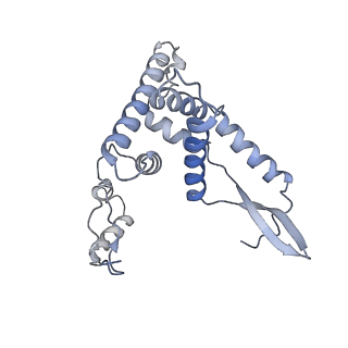 16894_8oin_AF_v1-0
55S mammalian mitochondrial ribosome with mtRF1 and P-site tRNA