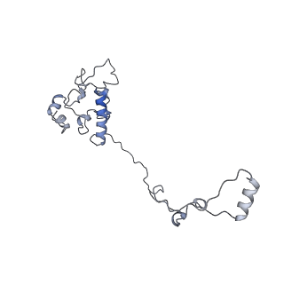 16894_8oin_AO_v1-0
55S mammalian mitochondrial ribosome with mtRF1 and P-site tRNA