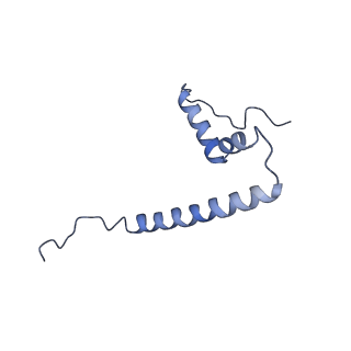 16894_8oin_AQ_v1-0
55S mammalian mitochondrial ribosome with mtRF1 and P-site tRNA