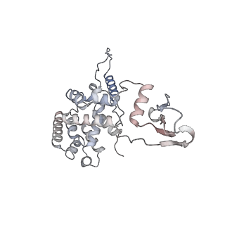 16894_8oin_AR_v1-0
55S mammalian mitochondrial ribosome with mtRF1 and P-site tRNA