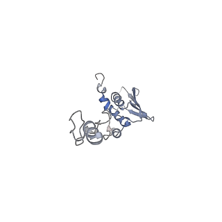 16894_8oin_AT_v1-0
55S mammalian mitochondrial ribosome with mtRF1 and P-site tRNA