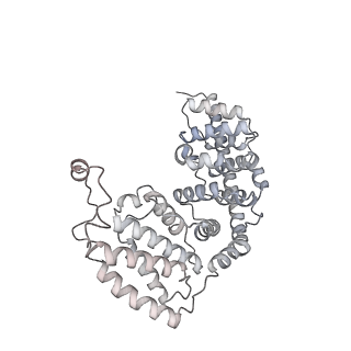 16894_8oin_AV_v1-0
55S mammalian mitochondrial ribosome with mtRF1 and P-site tRNA