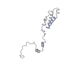 16894_8oin_AY_v1-0
55S mammalian mitochondrial ribosome with mtRF1 and P-site tRNA