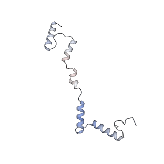 16894_8oin_AZ_v1-0
55S mammalian mitochondrial ribosome with mtRF1 and P-site tRNA