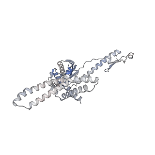 16894_8oin_Aa_v1-0
55S mammalian mitochondrial ribosome with mtRF1 and P-site tRNA