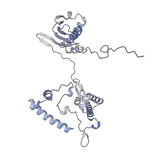 16894_8oin_Ag_v1-0
55S mammalian mitochondrial ribosome with mtRF1 and P-site tRNA