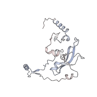 16894_8oin_Aj_v1-0
55S mammalian mitochondrial ribosome with mtRF1 and P-site tRNA