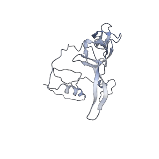 16894_8oin_BC_v1-0
55S mammalian mitochondrial ribosome with mtRF1 and P-site tRNA
