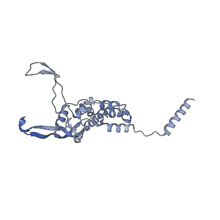 16894_8oin_BE_v1-0
55S mammalian mitochondrial ribosome with mtRF1 and P-site tRNA