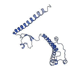 16894_8oin_BF_v1-0
55S mammalian mitochondrial ribosome with mtRF1 and P-site tRNA