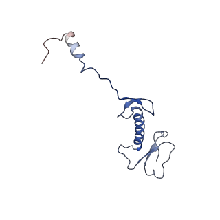16894_8oin_BH_v1-0
55S mammalian mitochondrial ribosome with mtRF1 and P-site tRNA