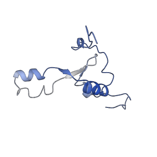 16894_8oin_BK_v1-0
55S mammalian mitochondrial ribosome with mtRF1 and P-site tRNA