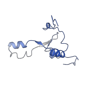 16894_8oin_BK_v2-0
55S mammalian mitochondrial ribosome with mtRF1 and P-site tRNA