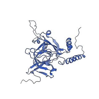 16894_8oin_BM_v1-0
55S mammalian mitochondrial ribosome with mtRF1 and P-site tRNA