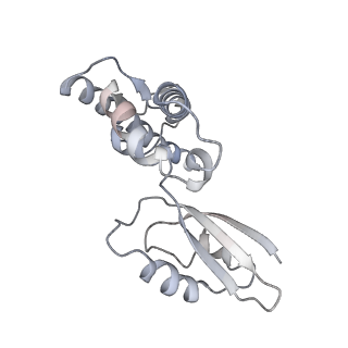 16894_8oin_BQ_v1-0
55S mammalian mitochondrial ribosome with mtRF1 and P-site tRNA