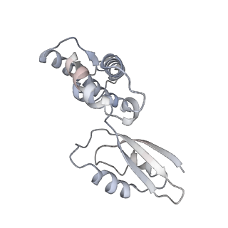 16894_8oin_BQ_v2-0
55S mammalian mitochondrial ribosome with mtRF1 and P-site tRNA