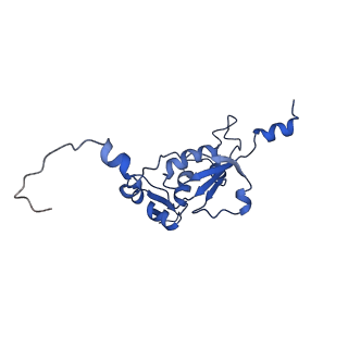 16894_8oin_BR_v1-0
55S mammalian mitochondrial ribosome with mtRF1 and P-site tRNA