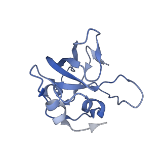 16894_8oin_BS_v1-0
55S mammalian mitochondrial ribosome with mtRF1 and P-site tRNA