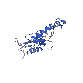 16894_8oin_BU_v1-0
55S mammalian mitochondrial ribosome with mtRF1 and P-site tRNA