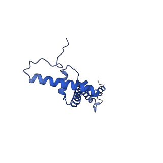 16894_8oin_BY_v1-0
55S mammalian mitochondrial ribosome with mtRF1 and P-site tRNA