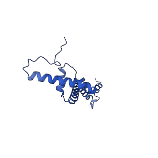 16894_8oin_BY_v2-0
55S mammalian mitochondrial ribosome with mtRF1 and P-site tRNA