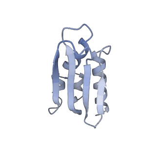 16894_8oin_Bb_v1-0
55S mammalian mitochondrial ribosome with mtRF1 and P-site tRNA