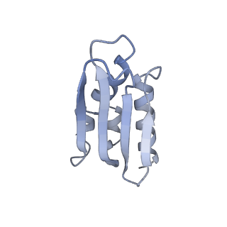 16894_8oin_Bb_v2-0
55S mammalian mitochondrial ribosome with mtRF1 and P-site tRNA