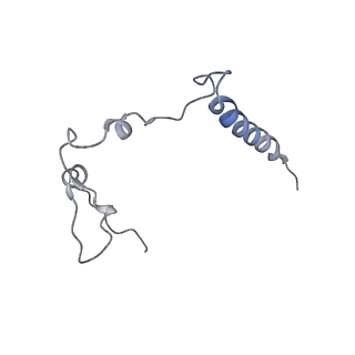16894_8oin_Bc_v1-0
55S mammalian mitochondrial ribosome with mtRF1 and P-site tRNA