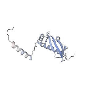 16894_8oin_Bf_v2-0
55S mammalian mitochondrial ribosome with mtRF1 and P-site tRNA