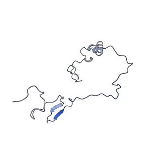 16894_8oin_Bq_v1-0
55S mammalian mitochondrial ribosome with mtRF1 and P-site tRNA