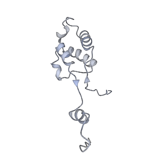 16894_8oin_By_v1-0
55S mammalian mitochondrial ribosome with mtRF1 and P-site tRNA