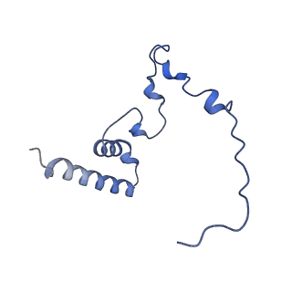 16894_8oin_Bz_v1-0
55S mammalian mitochondrial ribosome with mtRF1 and P-site tRNA